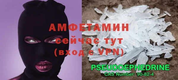 амф Каменка