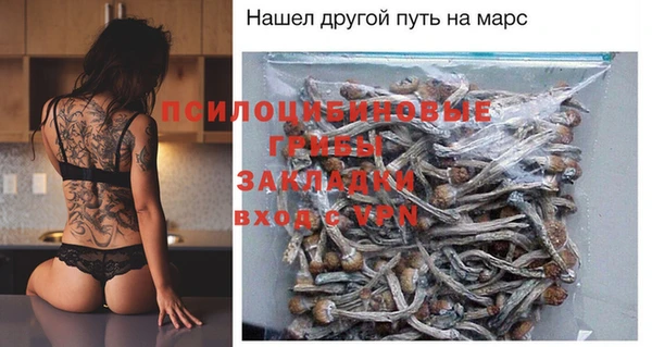 прущая мука Каменногорск